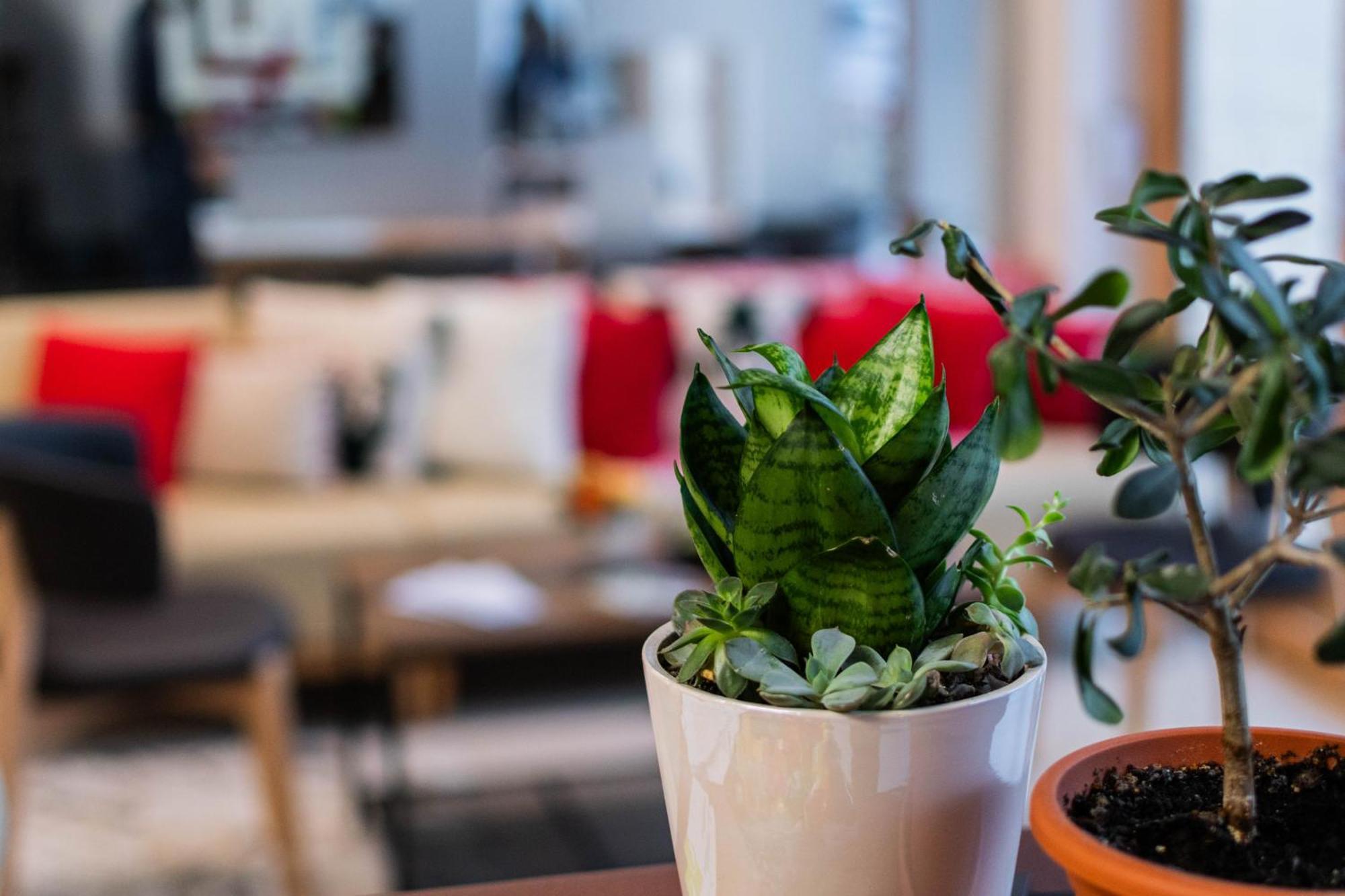 Hotel Urban بايا ماري المظهر الخارجي الصورة